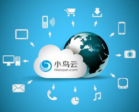 小鳥云計算 以中立與品質為核心，賦能企業數據處理與存儲